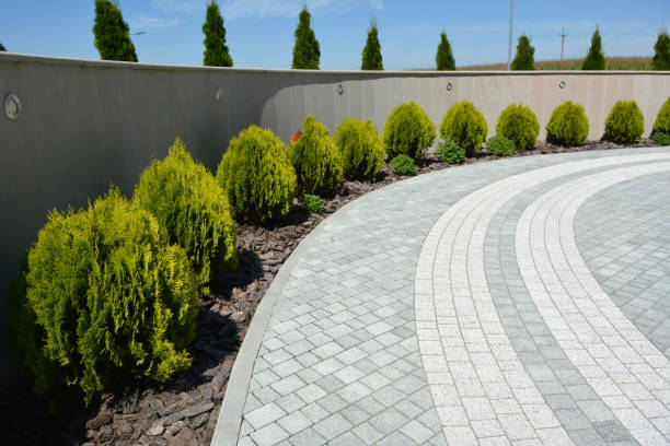 Reasons to Select Us for Your Driveway Paving Requirements in Indian River Shores, FL